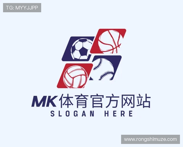 解读mk体育官网入口